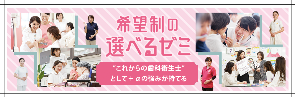 希望制の選べるゼミ