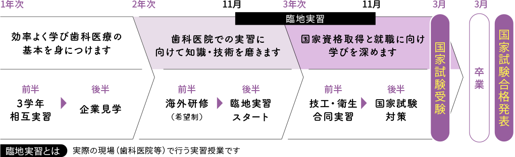 3年間の流れ