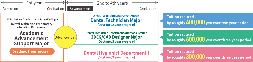 The Special Academic Advancement Plan