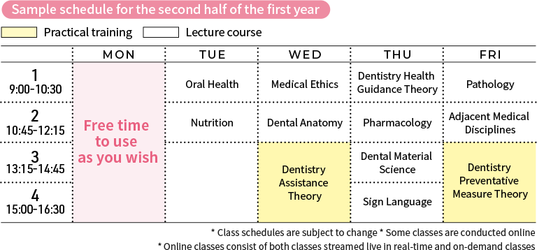 Sample schedule for the second half of the first year