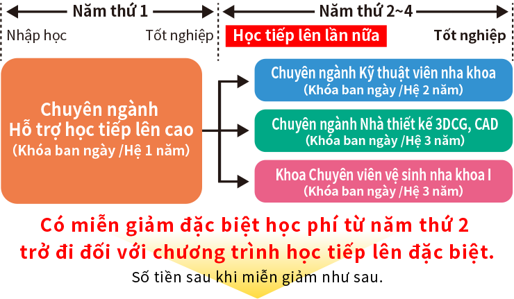 Khoa Giáo dục dự bị kỹ thuật nha khoa Chương trình học lên đặc biệt