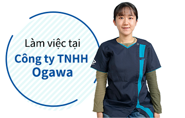 Làm việc tại Công ty TNHH Ogawa!